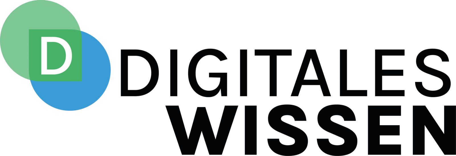 Digitales Wissen Logo schwarz